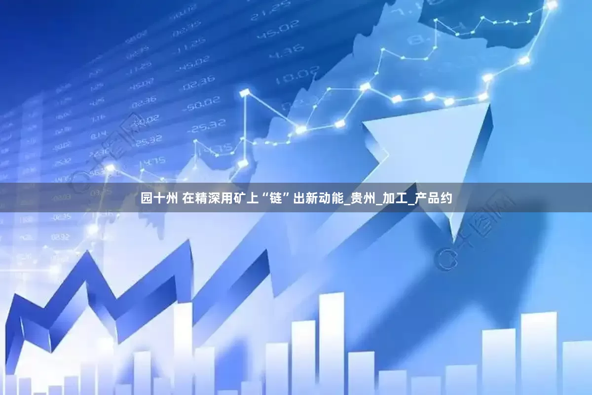 园十州 在精深用矿上“链”出新动能_贵州_加工_产品约