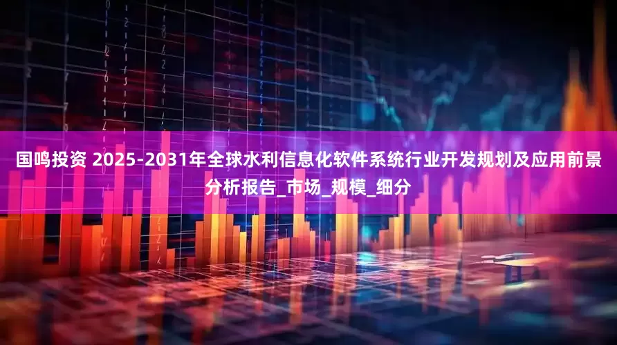 国鸣投资 2025-2031年全球水利信息化软件系统行业开发规划及应用前景分析报告_市场_规模_细分
