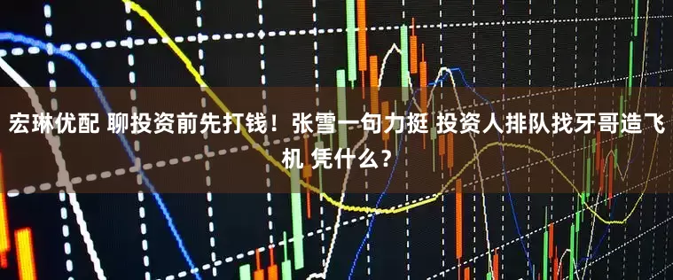 宏琳优配 聊投资前先打钱！张雪一句力挺 投资人排队找牙哥造飞机 凭什么？